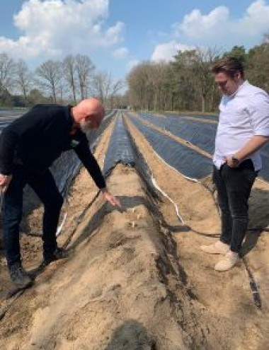 Paul Wijnen Groente en Fruit WESTERHOVEN afbeelding 3